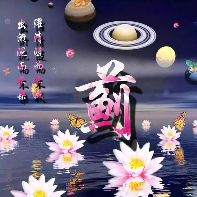 荷花头像图片大全，荷花头像高清图