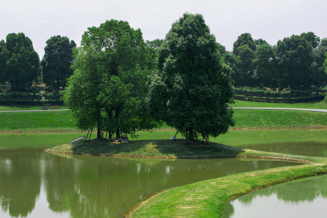 9月成都周边最适合露营，不出成都市区打卡9大露营野餐拍照地