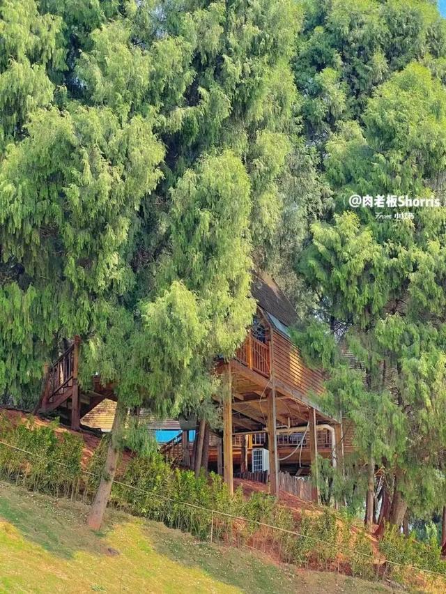 成都自驾游攻略，成都一个小时自驾游攻略（四川省内9条精华主题自驾路线攻略地图分享）