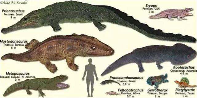 人类的进化史到底是什么样的，人类进化史上有13万年的空白,过程中发生了什么