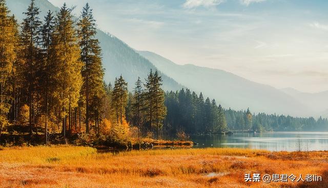 表达真挚友情的古诗，表达友情的经典诗句古诗大全