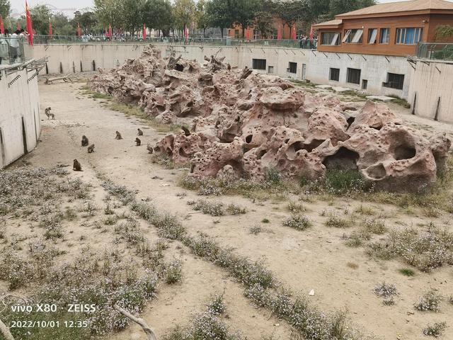 石家庄动物园攻略，石家庄动物园游玩自带饭攻略