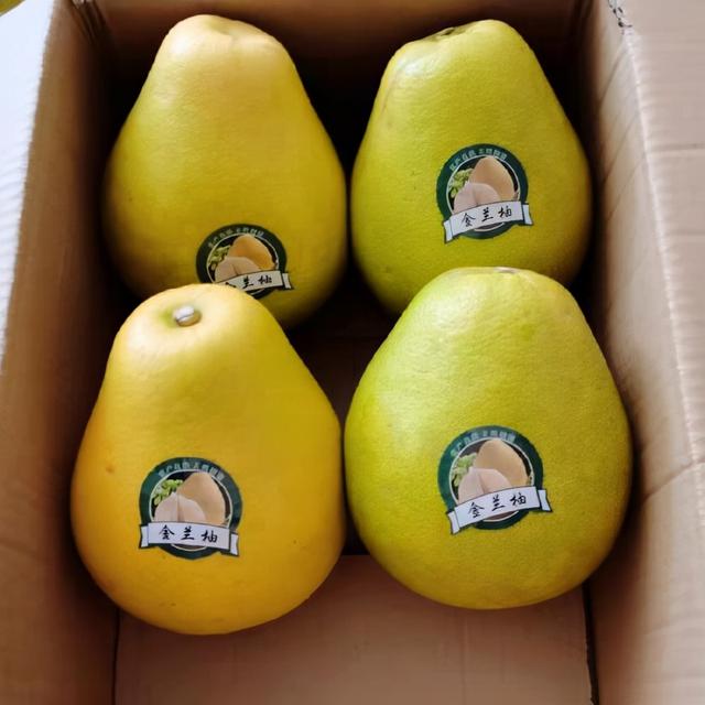 橘子的品种有哪些，柑橘品种有哪些