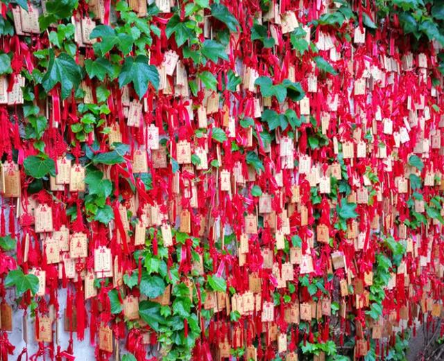 嘉兴好玩的地方，浙江嘉兴有哪些好玩的旅游景点（浙江嘉兴这几处古镇风景秀丽）