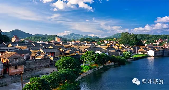 广东灵山荔枝采摘，灵山荔枝已成熟