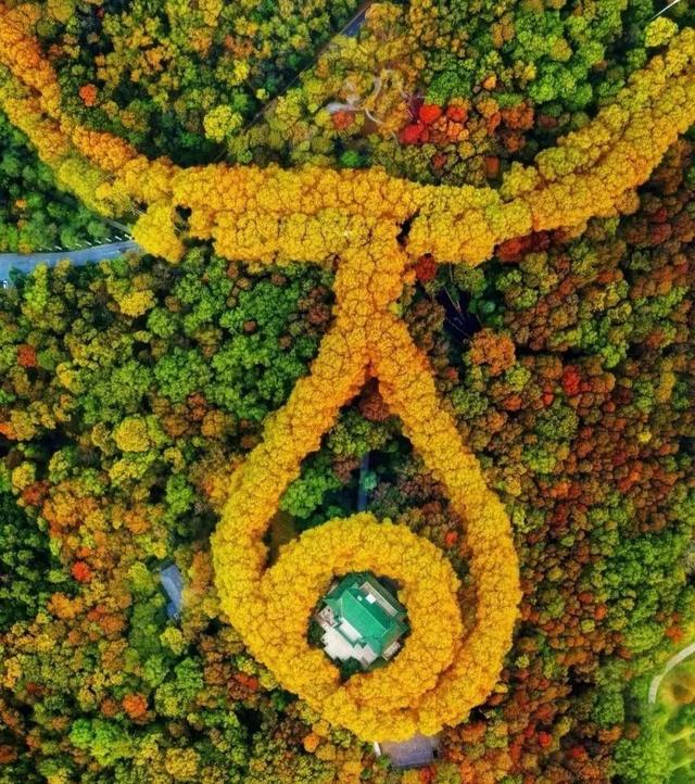 南京地铁线路图，南京轨道交通线路图（南京轨道交通运营）