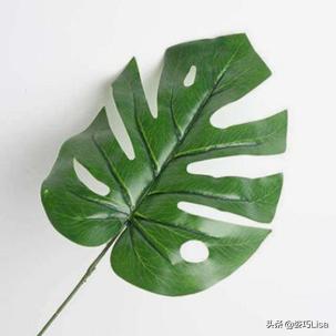 插花怎么弄出漂亮花束，掌握这“三个”原则