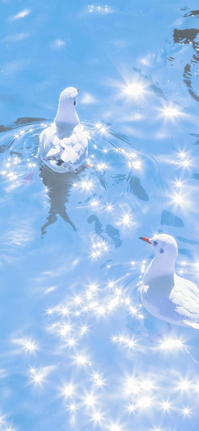 2023新年精美手机壁纸，任天堂欧服eShop开启新年折扣