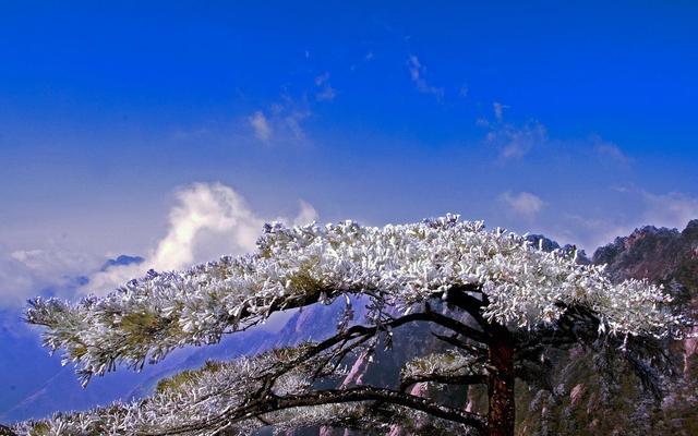 黄山冬季旅游攻略，黄山冬季旅游攻略自由行（迎接新年便开始倒计时了）