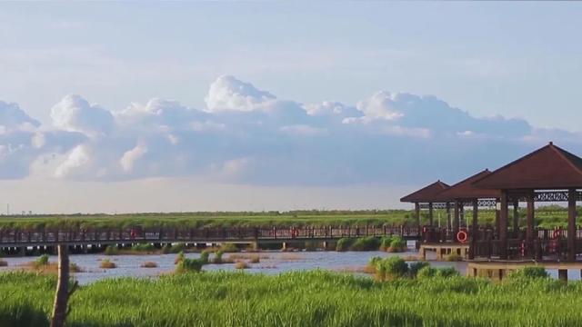 河北省沧州市十大旅游景点排名，沧州的十大景点