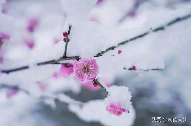 聊天态度看出他喜欢你，怎么从聊天中看出一个男的喜欢你