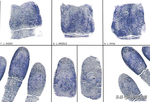 10个斗和10个簸箕，10个斗10个簸箕哪个更好