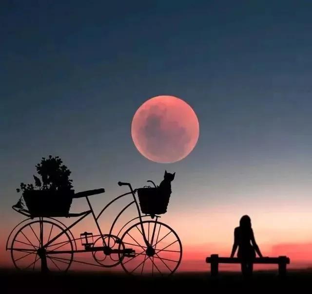 阳光温热岁月静好，阳光如初岁月如故