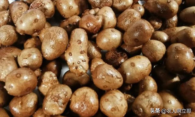 莲藕炒什么好吃，莲藕炒什么菜好吃又营养（记得多加这2样蔬菜）
