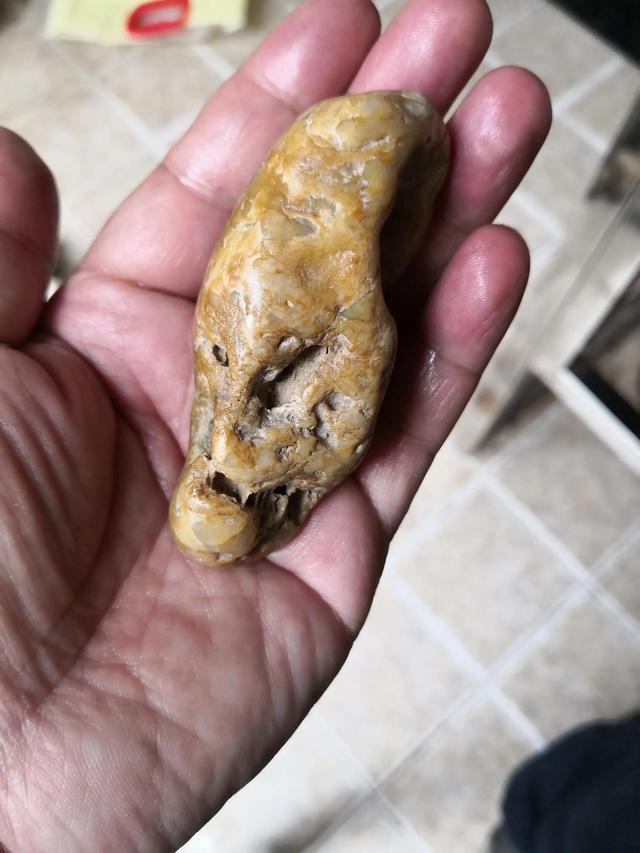 河流寻石记，渭河拾石记