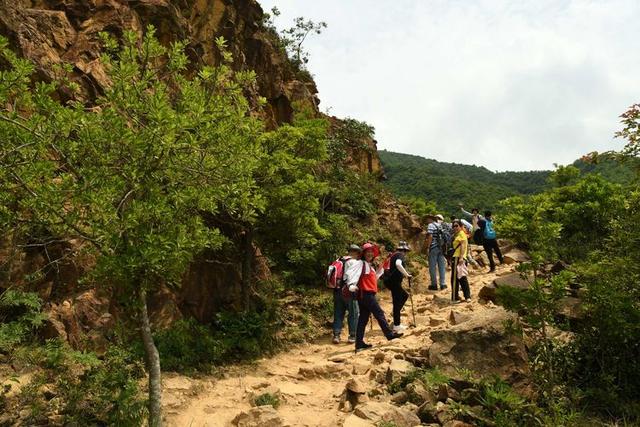 关于深圳梧桐山简介，深圳之巅——梧桐山