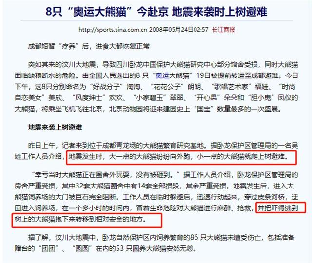 雅安地震熊猫爬树场景，雅安27只大熊猫爬同一棵树躲避地震