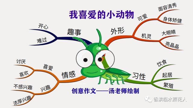 我长大了作文思维导图怎么画，思维导图画作文
