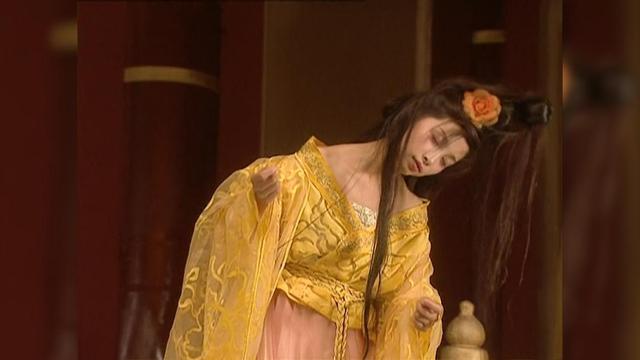 李裹儿大唐最美公主，唐朝李婉儿