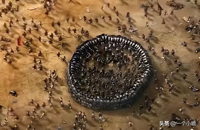 古代 诸葛亮发明的八阵图全集，古代战争中九大阵法