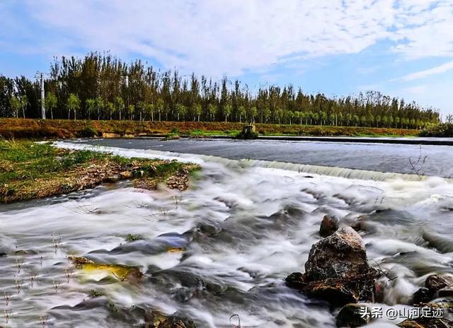 伏见桃山起源，来自日本天皇陵墓的奶茶