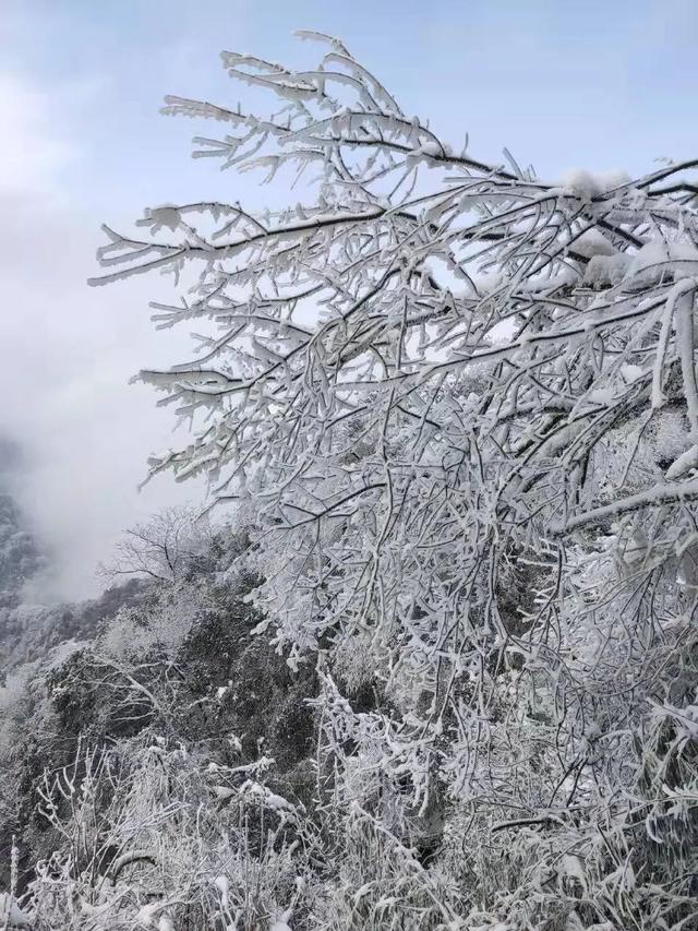 成都周边11月玩雪，成都周边这8个耍雪地不要门票