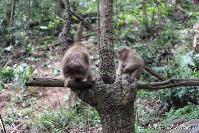 普洱到西双版纳，西双版纳普洱旅游攻略
