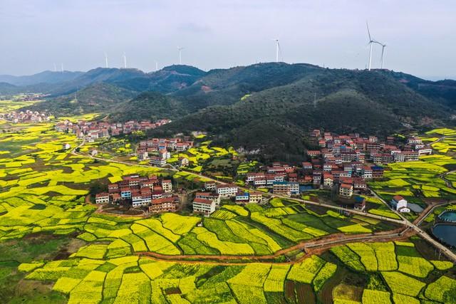 咸宁市哪个县最穷，湖北最穷十大县（2022年1-2月咸宁各区县财政）