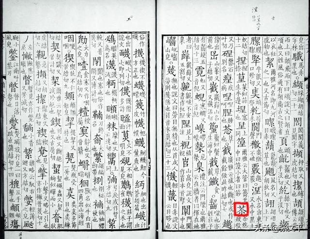 苶怎么读啥意思，中国最难的24个字