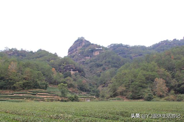 武夷山五日游必去景点，带你穿越千年历史