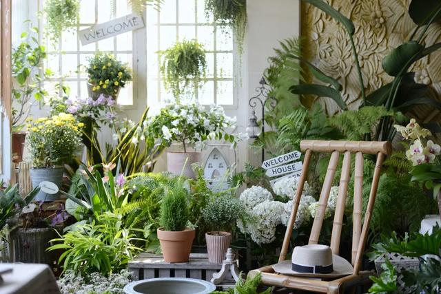 法式花园如何欣赏，海妈花园访问阳台花园满分案例