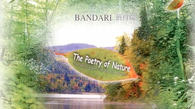 舒缓的背景纯音乐，美文纯背景音乐（温柔和缓的轻音乐送给你）