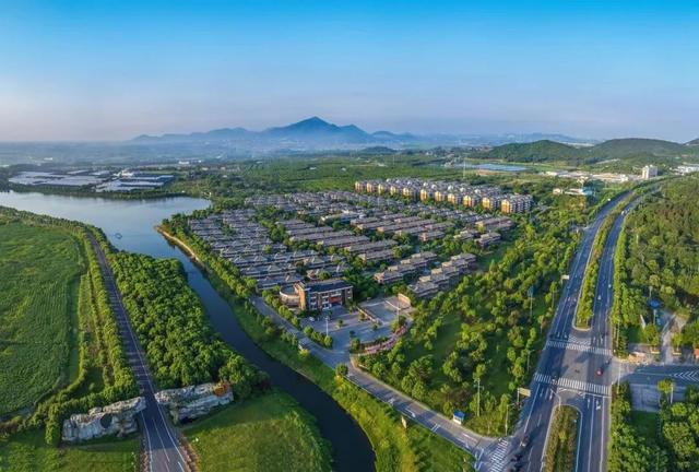 第21届安徽省摄影艺术展入选证书，“安徽·镜像——安徽省摄影作品展”在杭启幕