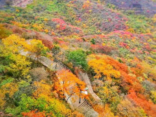 河北邯郸都有什么旅游景点，这些景色你可曾了解