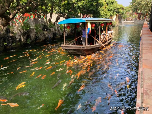 广州周末适合去玩的地方，一定不要错过广州最值得去的10大景点