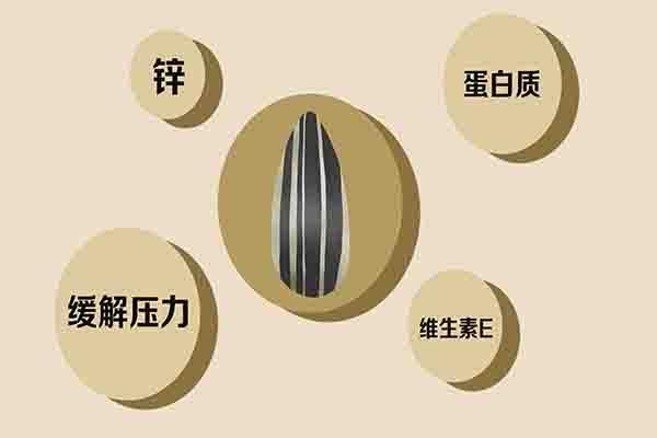 瓜子减肥还是增肥胖(瓜子减肥还是增肥好)