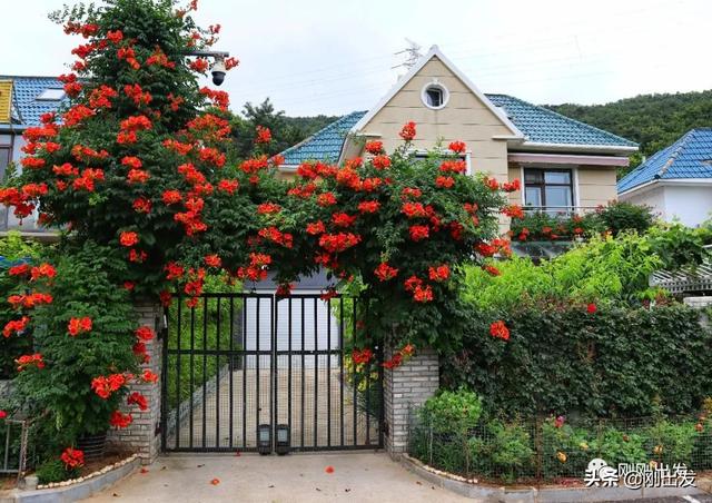 大连西郊森林公园爬山路线，徒步大连西郊国家森林公园