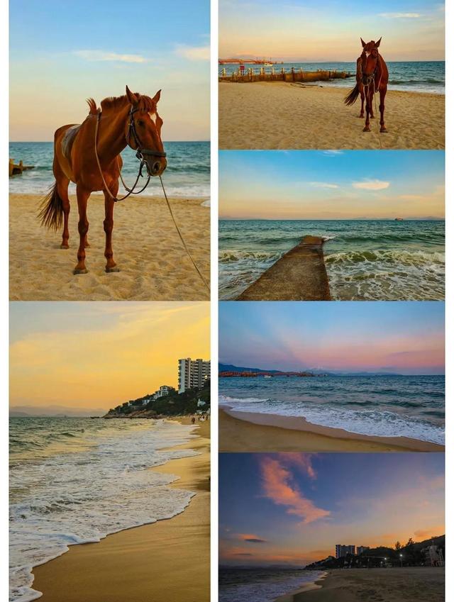 深圳玫瑰海岸夏日游，清明假期游客在深圳玫瑰海岸逐波踏浪