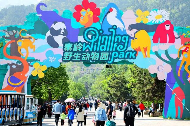 秦岭野生动物园路线，秦岭野生动物园游玩指南（西安秦岭野生动物园游玩攻略）