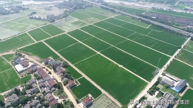 全域土地综合整治，全域土地综合整治基本原则（全域土地综合整治——优化三生空间格局）