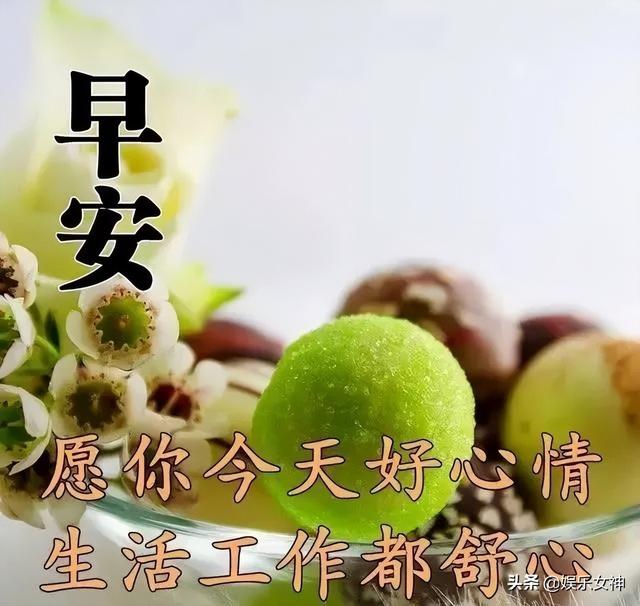 最真挚的祝福和问候早上好表情包，最新早上好表情包大全