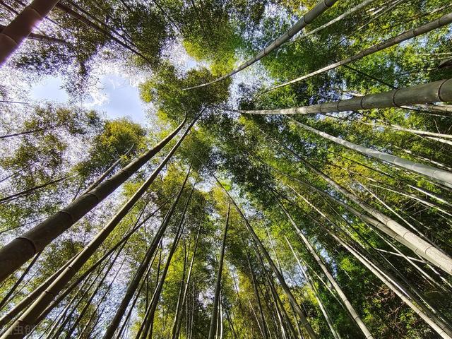 湖南常宁旅游景点，湖南小城︱常宁旅游景点推荐