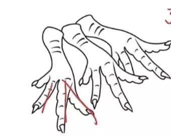 平面向量中的共线定理，平面向量共线推论