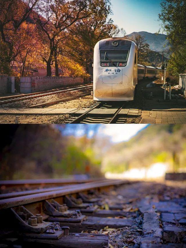 火车沿途风景最佳路线夏天，国内这些赏秋火车路线