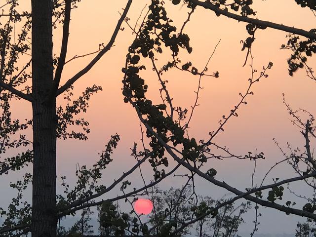 开四关功效和作用，开四关的好处与作用（穴位：一个神奇的穴位）