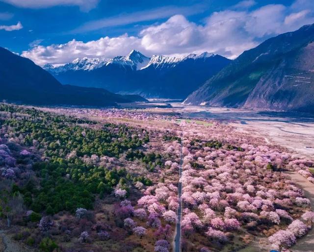 2022年林芝桃花节什么时候开始，2022年林芝桃花节3月23日开幕