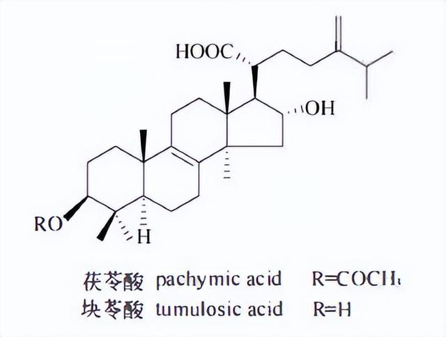萜类的作用及功能，植物功效成分-三萜及其苷类