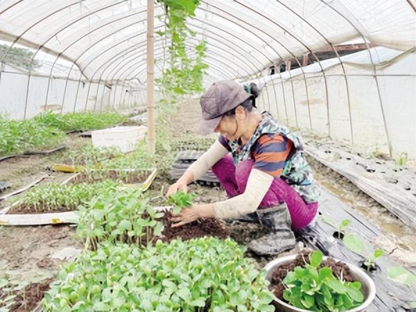 有口福了本月底，绍兴的特色菜有什么