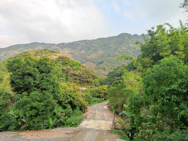 免費(fèi)的鄉(xiāng)村小眾露營(yíng)地，一個(gè)小而美的免費(fèi)露營(yíng)地