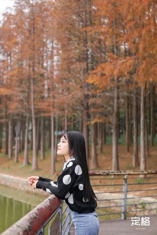 深圳地铁1号线游玩，免费地铁直达深圳这些地方一天玩遍